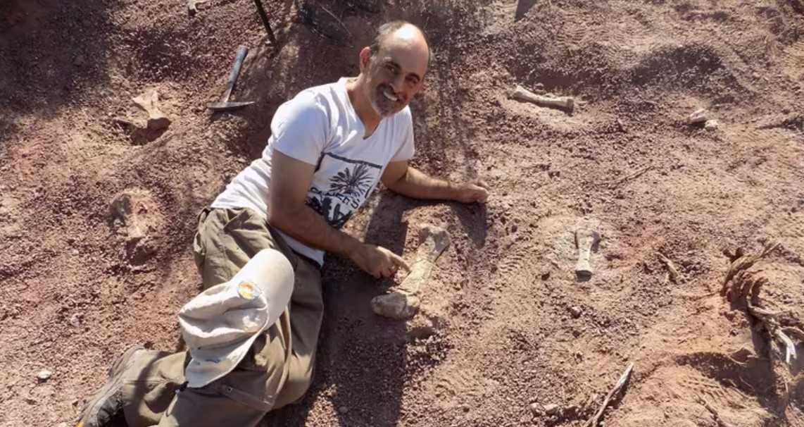 Un paleontólogo del Museo Argentino Urquiza de la Municipalidad de Neuquén con los huesos hallados.