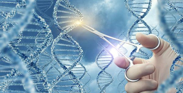 Logran borrar grave enfermedad genética en embrión humano-0
