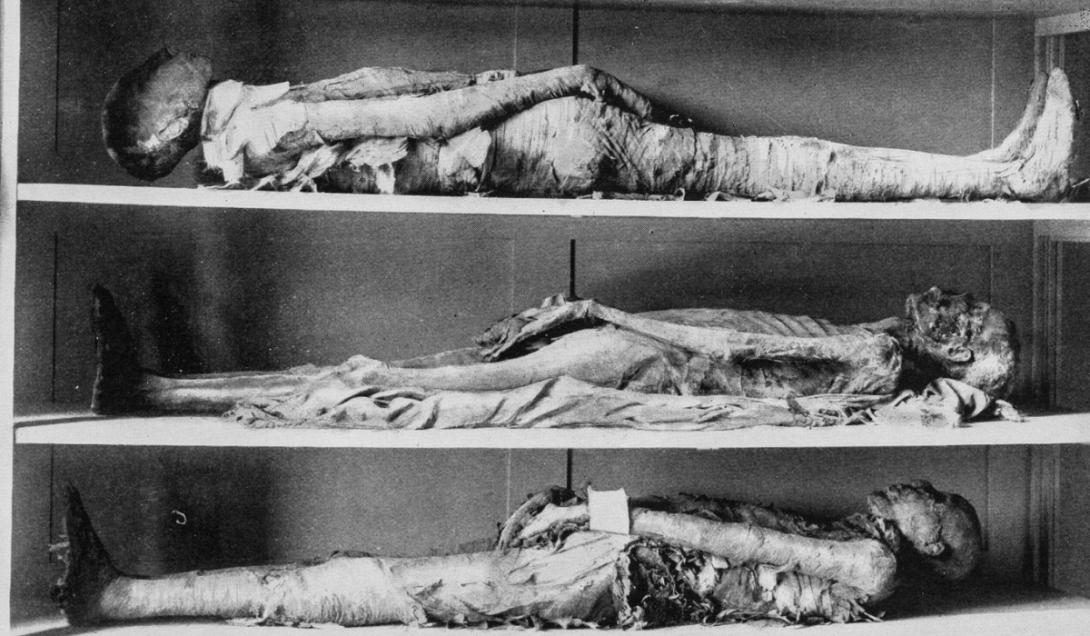Los europeos comieron momias durante siglos para curar sus enfermedades-0