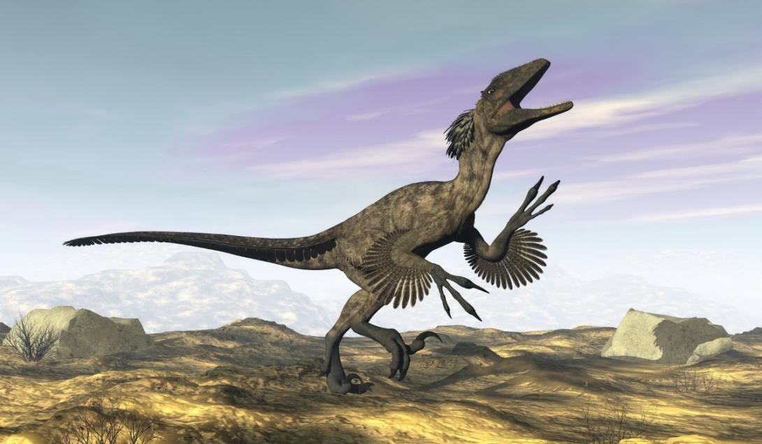 Descubren un dinosaurio con plumas que pesaba y media como un humano-0